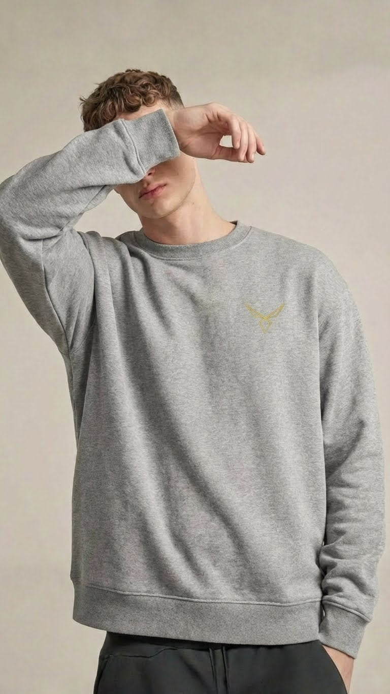 Gray Sweatshirt
